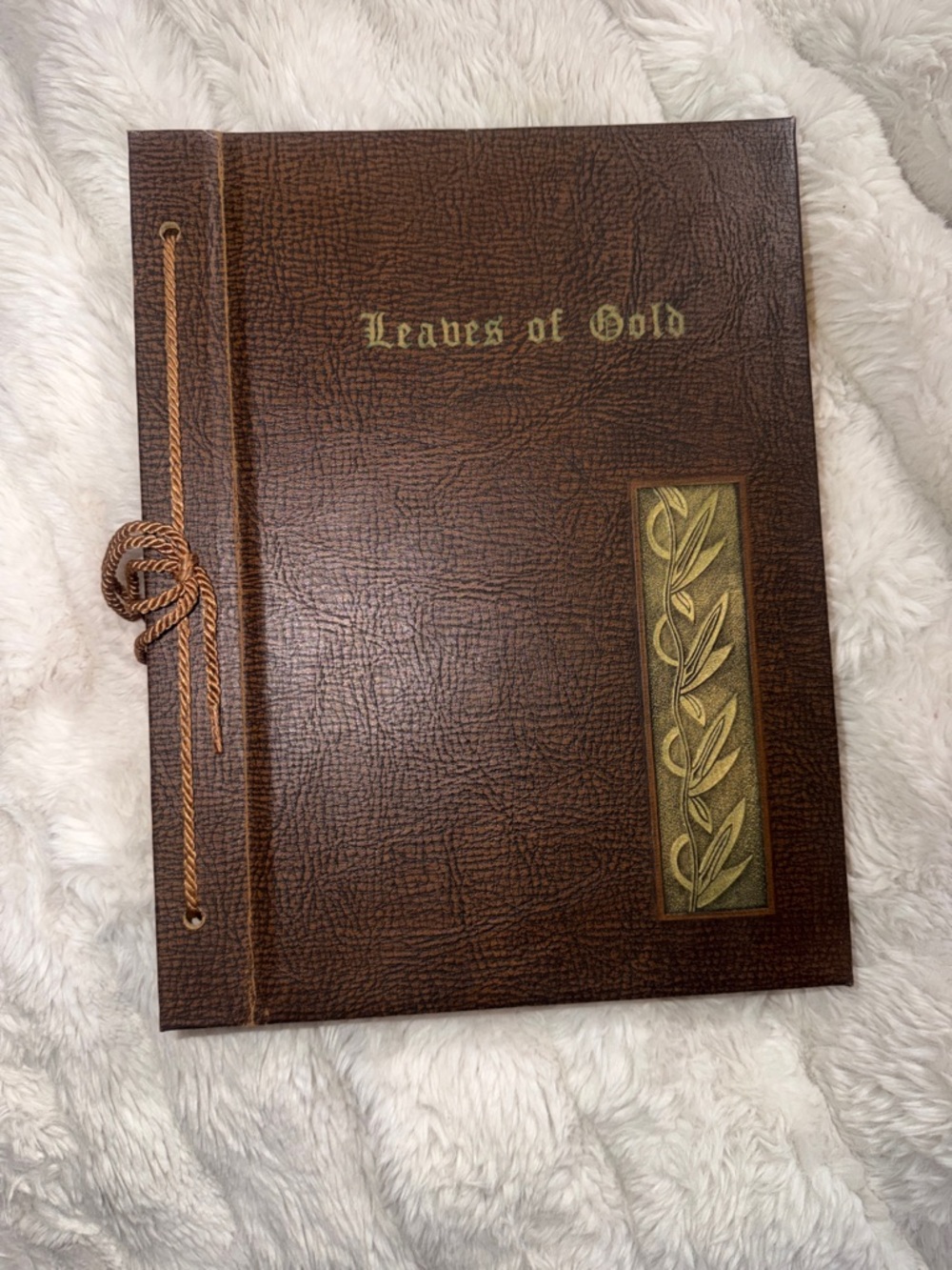 Vintage Leaves of Gold Anthology book